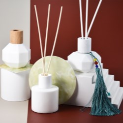 Create a Cozy Atmosphere with Rayuens Glass Reed Diffuser Bottles